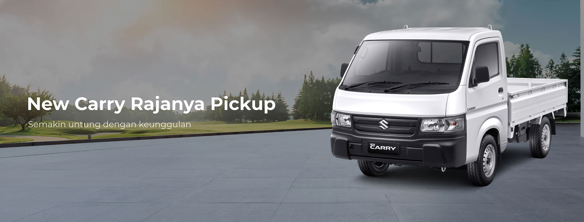 new-carry-pick-up1